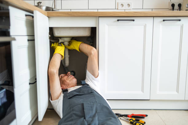 Best Toilet Repair Services  in Mford, IL